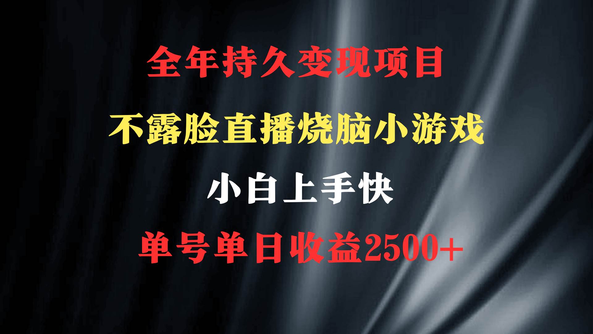 2024年 最优项目，烧脑小游戏不露脸直播  小白上手快 无门槛 一天收益2500+-卧狐科技网
