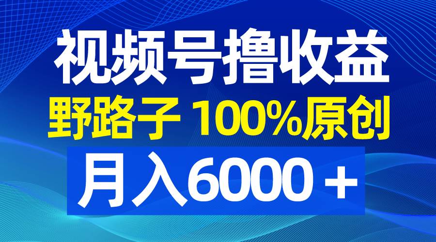 视频号野路子撸收益，100%原创，条条爆款，月入6000＋-卧狐科技网