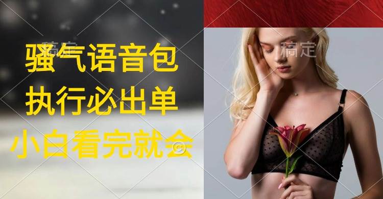 执行就出单，日入2000+，超火骚气语音包，小白看完课程就能马上实操-卧狐科技网