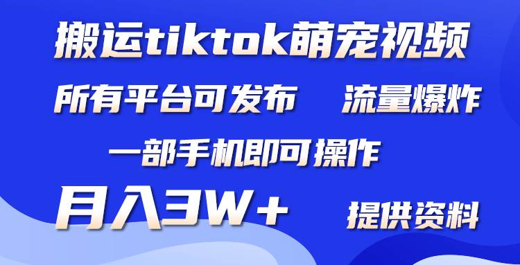 搬运Tiktok萌宠类视频，一部手机即可。所有短视频平台均可操作，月入3W+-卧狐科技网