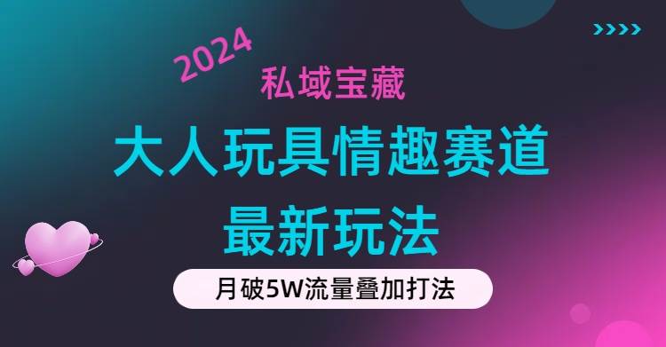 私域宝藏：大人玩具情趣赛道合规新玩法，零投入，私域超高流量成单率高-卧狐科技网
