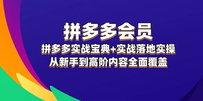 拼多多 会员，拼多多实战宝典+实战落地实操，从新手到高阶内容全面覆盖-卧狐科技网