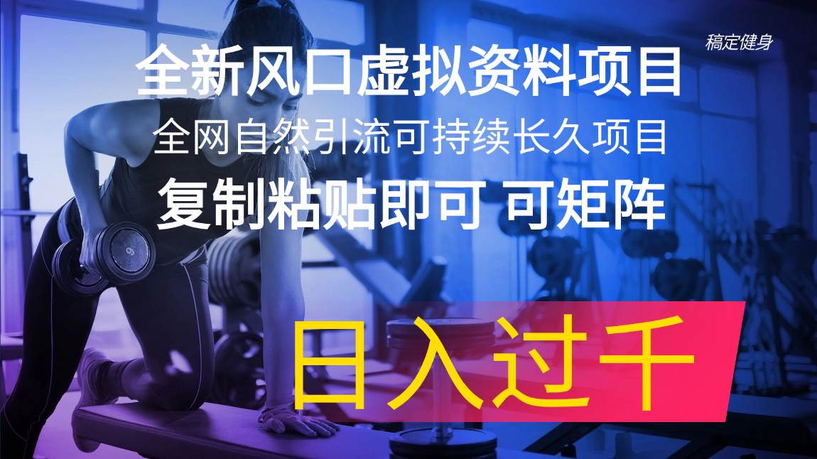 全新风口虚拟资料项目 全网自然引流可持续长久项目 复制粘贴即可可矩阵...-卧狐科技网