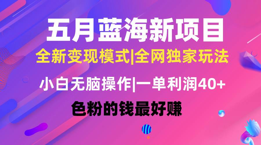 五月蓝海项目全新玩法，小白无脑操作，一天几分钟，矩阵操作，月入4万+-卧狐科技网