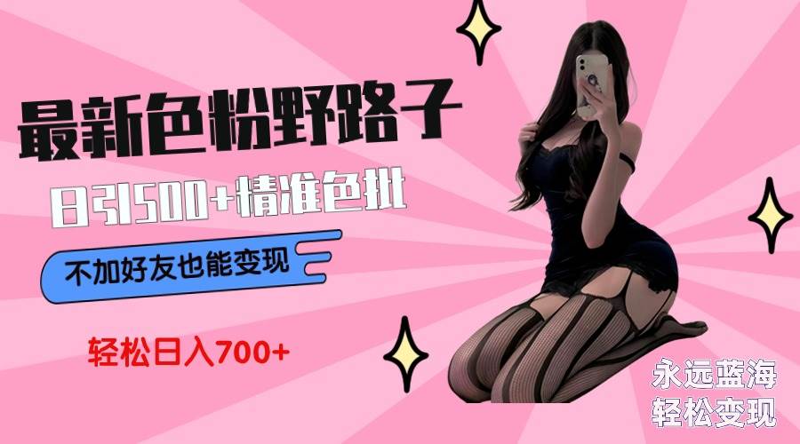 最新色粉变现野路子，日引500+老色批 可不加好友直接变现 小白轻松日入700+-卧狐科技网