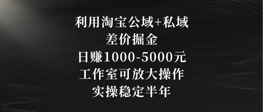 利用淘宝公域+私域差价掘金，日赚1000-5000元，工作室可放大操作，实操...-卧狐科技网