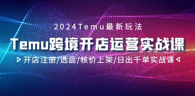 2024Temu跨境开店运营实战课，开店注册/选品/核价上架/日出千单实战课-卧狐科技网