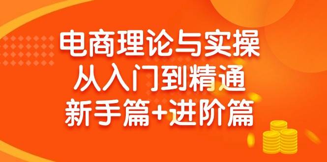 电商理论与实操从入门到精通 新手篇+进阶篇-卧狐科技网