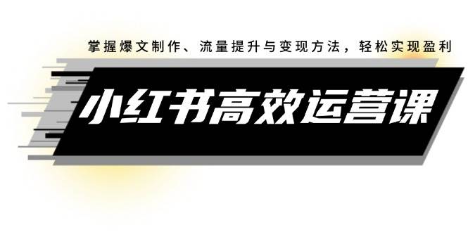 小红书高效运营课：掌握爆文制作、流量提升与变现方法，轻松实现盈利-卧狐科技网
