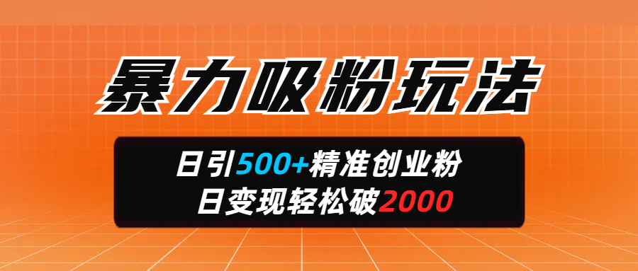 暴力吸粉玩法，日引500+精准创业粉，日变现轻松破2000-卧狐科技网