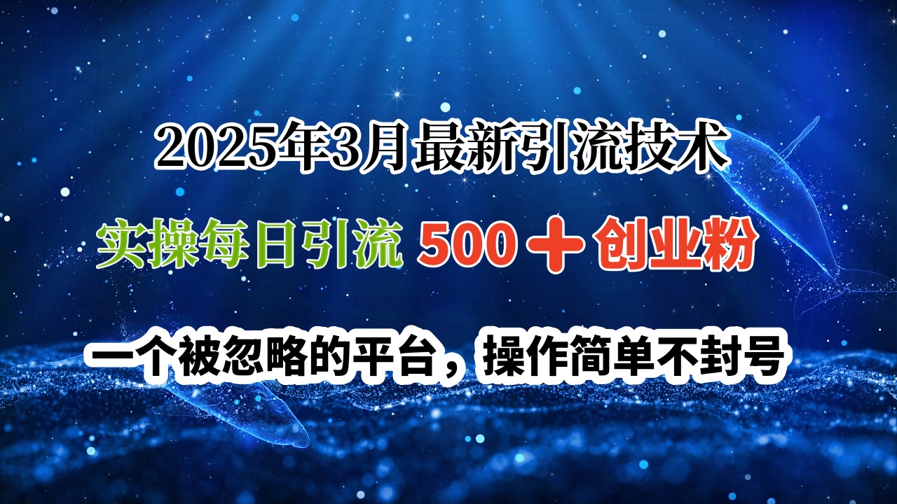 2025年3月最新引流技术，实操每日引流500➕创业粉，一个被忽略的平台，操作简单不封号-卧狐科技网