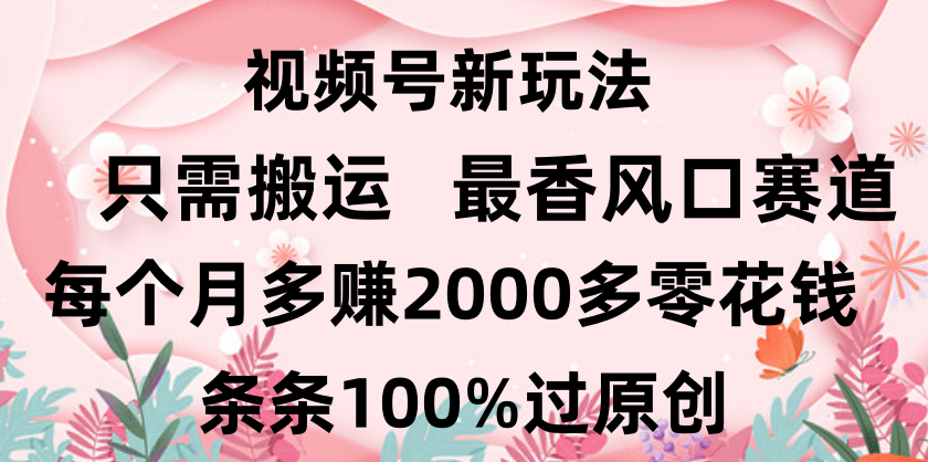 日入2000+，条条100%过原创，视频号最香风口赛道，小白轻松上手-卧狐科技网