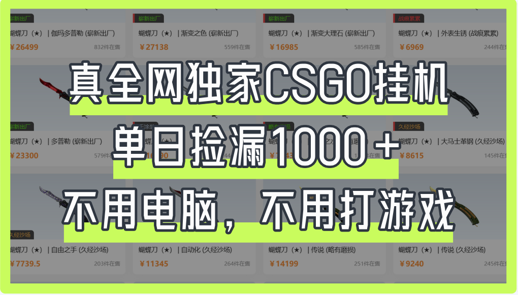 真全网独家CSGO挂机，单日捡漏1000+-卧狐科技网