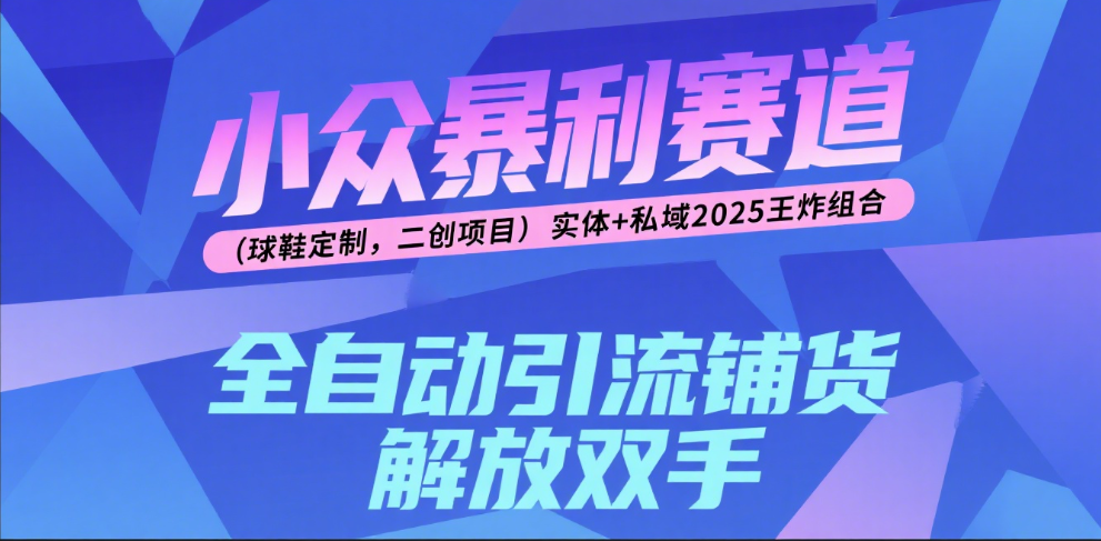 楠—小众暴利赛道（球鞋定制，二创项目）实体+私域2025王炸组合-卧狐科技网