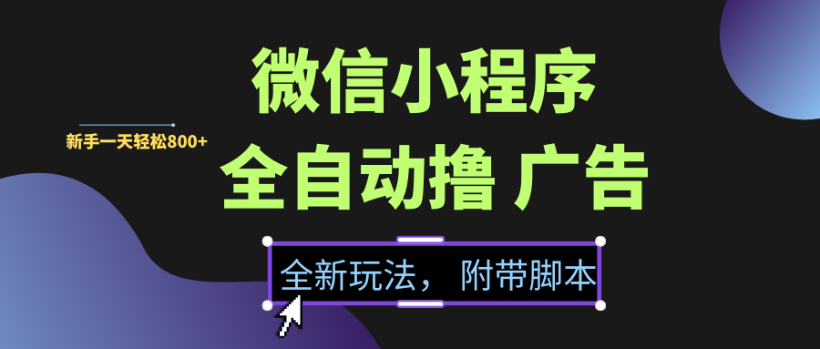 微信小程序挂机撸广告，全新玩法，新手一天轻松800+【附带脚本】-卧狐科技网