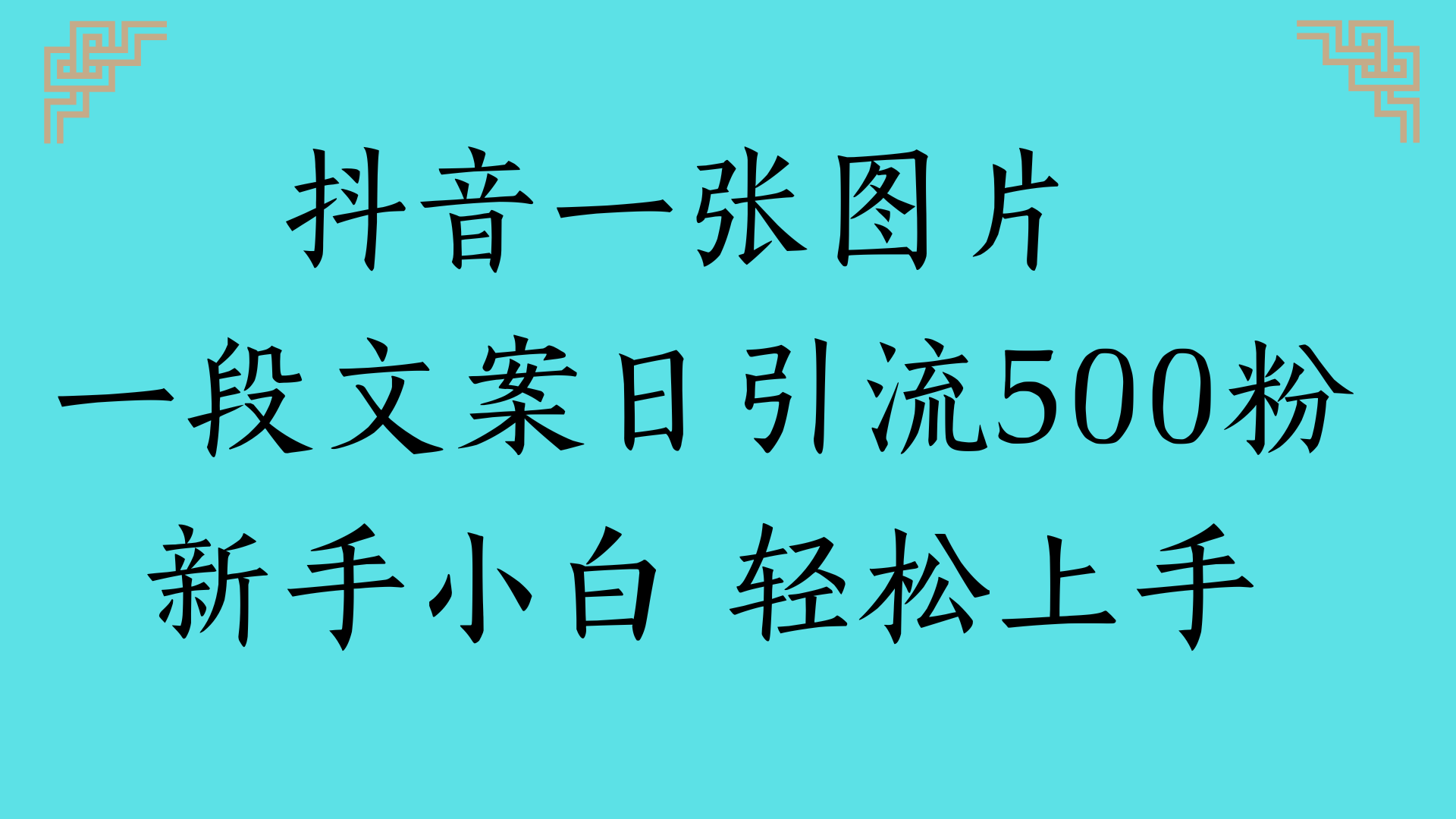 抖音一张图片 一段文案日引流500粉新手小白 轻松上手-卧狐科技网