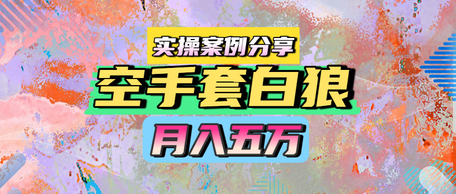 空手套白狼，月入五万，实操案例分享-卧狐科技网