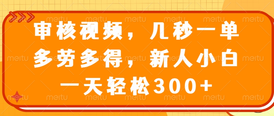 视频审核员，几秒一单，多劳多得，新人小白一天轻松300+-卧狐科技网