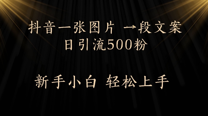 抖音一张图片，一段文案日引流500粉，新手小白 轻松上手-卧狐科技网