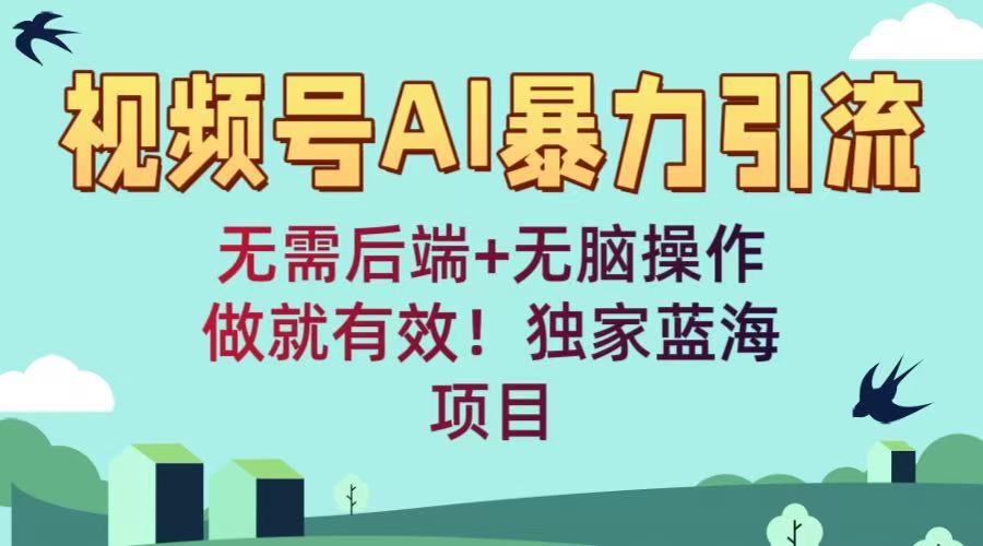 视频号AI暴力引流：无需后端+无脑操作，做就有效！独家蓝海项目-卧狐科技网