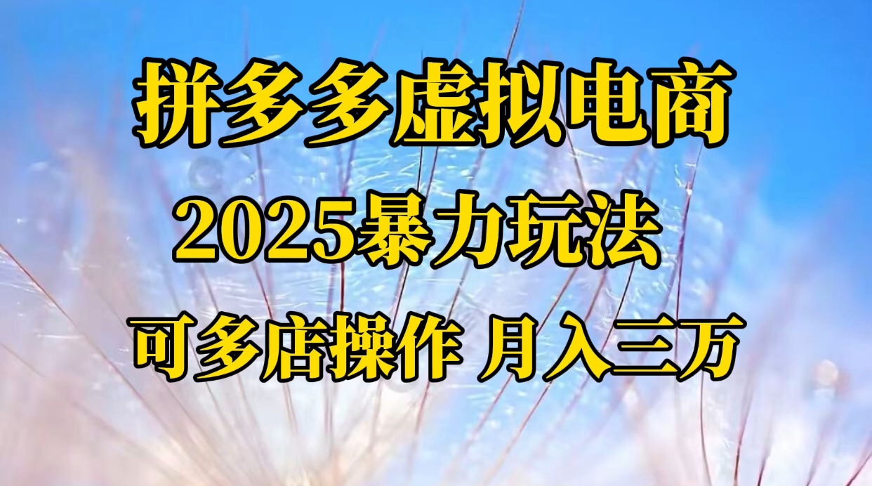 拼多多虚拟电商，不囤货不垫资的虚拟电商-卧狐科技网